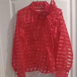 Elegant Red Sheer Blouse
